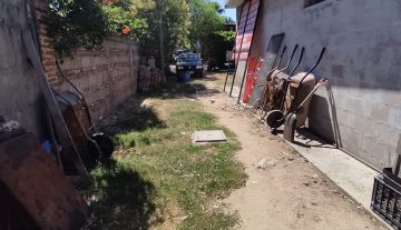 6544a1fc-6f67-4329-bc18-c25dcdde4694.jpg
